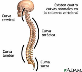 postura