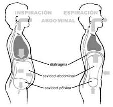 respiracion